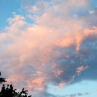 *** :: Павленко Михаил 