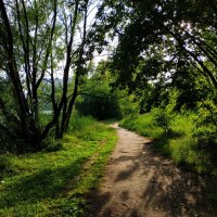 * * * :: Андрей Лукьянов