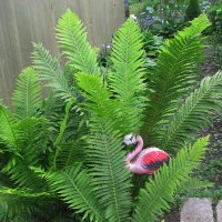 В саду :: Людмила Смородинская