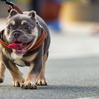 Всех на свете люблю я :: Фёдор Воронов