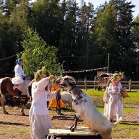 Спектакль театра Марины Мироновой по мотивам славянского эпоса Яго. :: Ольга 