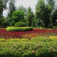 парк Рамонь :: Елена Шаламова