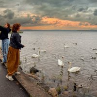 Себежское озеро :: skijumper Иванов