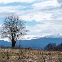 Адыгея :: Павел Спиваков 