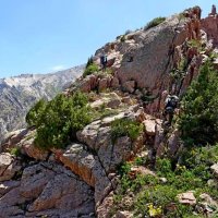 ПО ГОРАМ, преодоление. :: Виктор Осипчук