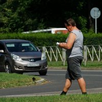 Занятой человек... :: Николай Саржанов