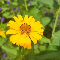 ,,, :: Сергей Тимоновский