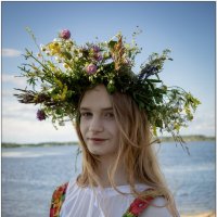 Поля :: Николай Иванович Щенов