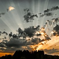 Последние лучи :: александр 