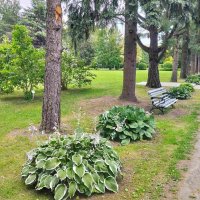 Ботанический сад :: Галина Бобкина