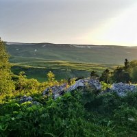 ПЛАТО ЛАГОНАКИ :: Tata Wolf