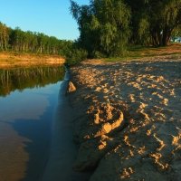 На пляже :: (Владимир С)