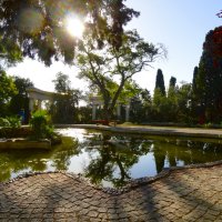 В приморском парке (Ялта) :: Ольга 