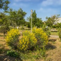 Фонарб :: Анатолий Чикчирный Фонарб :: Анатолий Чикчирный