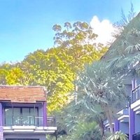 Лето :: Георгиевич 