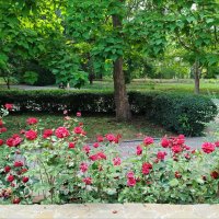 В зоопарке! :: Надежда В зоопарке! :: Надежда