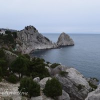 Природа Крыма :: Amazing Cosmea