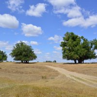 Мои дороги. :: Виктор 
