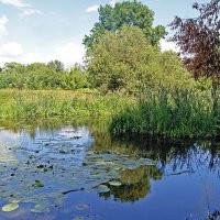 *  *  * :: Елена 