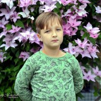 "Сеня и клематисы"© :: Владимир Макаров "Сеня и клематисы"© :: Владимир Макаров