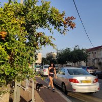 У дороги висят гранаты. :: Светлана Хращевская