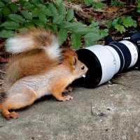 Здесь портреты делают??? :: Александр Кондаков Здесь портреты делают??? :: Александр Кондаков