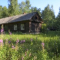 Утро в Лучке :: Сергей 