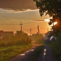 После дождичка... :: Роман Пацкевич