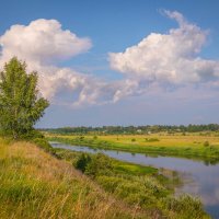 **** :: Елизавета .