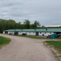 Конюшни Ясной поляны :: ИРЭН@ .