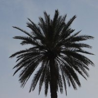 Минимализм :: Натали 