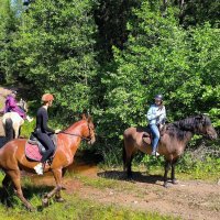 Летняя прогулка. :: Ольга 