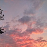 Красота вечернего неба :: светлана льдокова