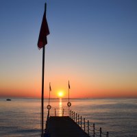 Здравствуй, утро! :: Alexandеr P