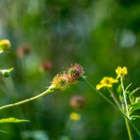 ___ :: Yuriy V ___ :: Yuriy V