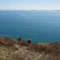 Там за горизонтом... :: Наталья Т