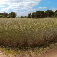 Перекрёсток. :: adrow 