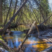 Река Куштумга. :: Алексей Трухин Река Куштумга. :: Алексей Трухин