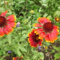 ,,, :: Сергей Тимоновский