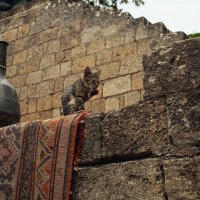 Она видела всё!:) :: Лилия .