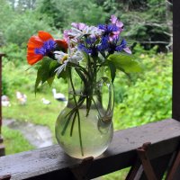 Дожди - не повод унывать! :: AleksSPb Лесниченко