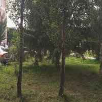 Врата в лето. :: Игорь Солдаткин