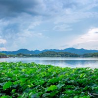 Летняя панорама озера Сиху в Ханчжоу :: Дмитрий 