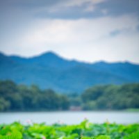 На озере Сиху в Ханчжоу :: Дмитрий 