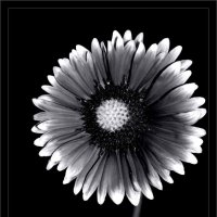 ... :: Юрий Ковшов