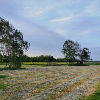 "Родная речь" :: Александр Кондаков