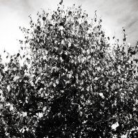 Назва. отсу. :: Денис Безногов