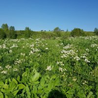 ПЛАТО ЛАГОНАКИ :: Tata Wolf