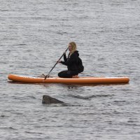 На сабе :: Алексей Булак