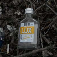 . :: Александр Хоменко